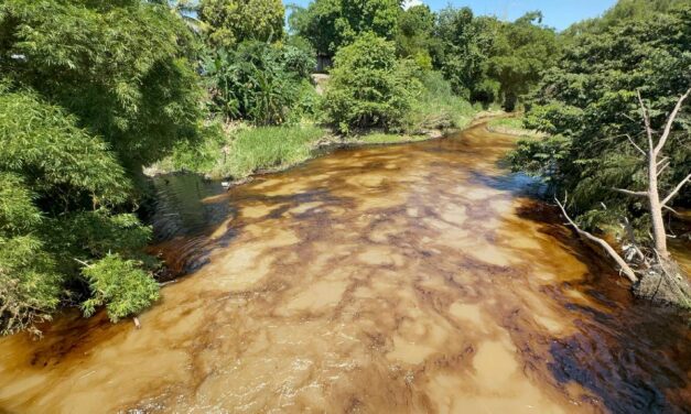 Desastre Ambiental en Tihuatlán: Habitantes de Totolapa Claman por Mantenimiento Ante Cuatro Derrames de Hidrocarburo