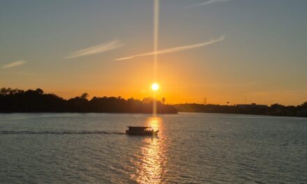 Tiempo estable para los próximos días: surada el viernes y nuevo Frente Frío el fin de semana