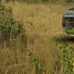 Localizan restos óseos en límites de Tuxpan y Álamo