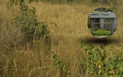 Localizan restos óseos en límites de Tuxpan y Álamo