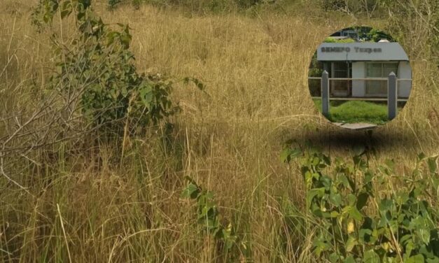 Localizan restos óseos en límites de Tuxpan y Álamo