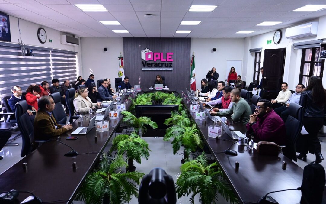 Elección Extraordinaria en Tamiahua: OPLE Veracruz define tope de gastos