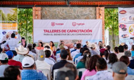 Refuerza Ayuntamiento de Tuxpan la lucha en contra del gusano barrenador