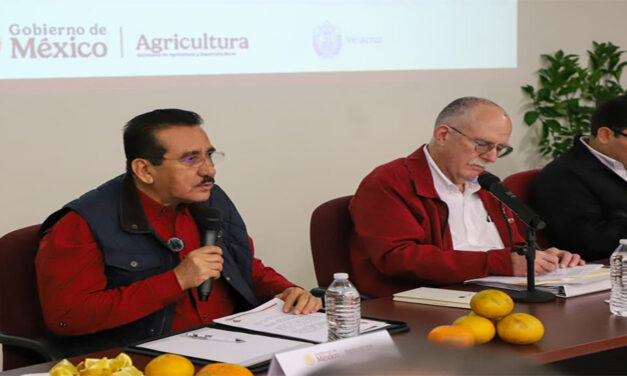 SADER y Sedarpa anuncian Plan para recuperar la citricultura en Veracruz Norte