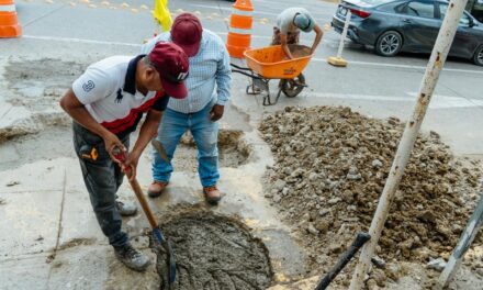 Inicia el Gobierno Municipal 2026–2029 con acciones de embellecimiento urbano en Tuxpan