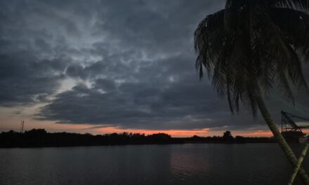 Activan Alerta Gris en Veracruz por Frente Frío 27